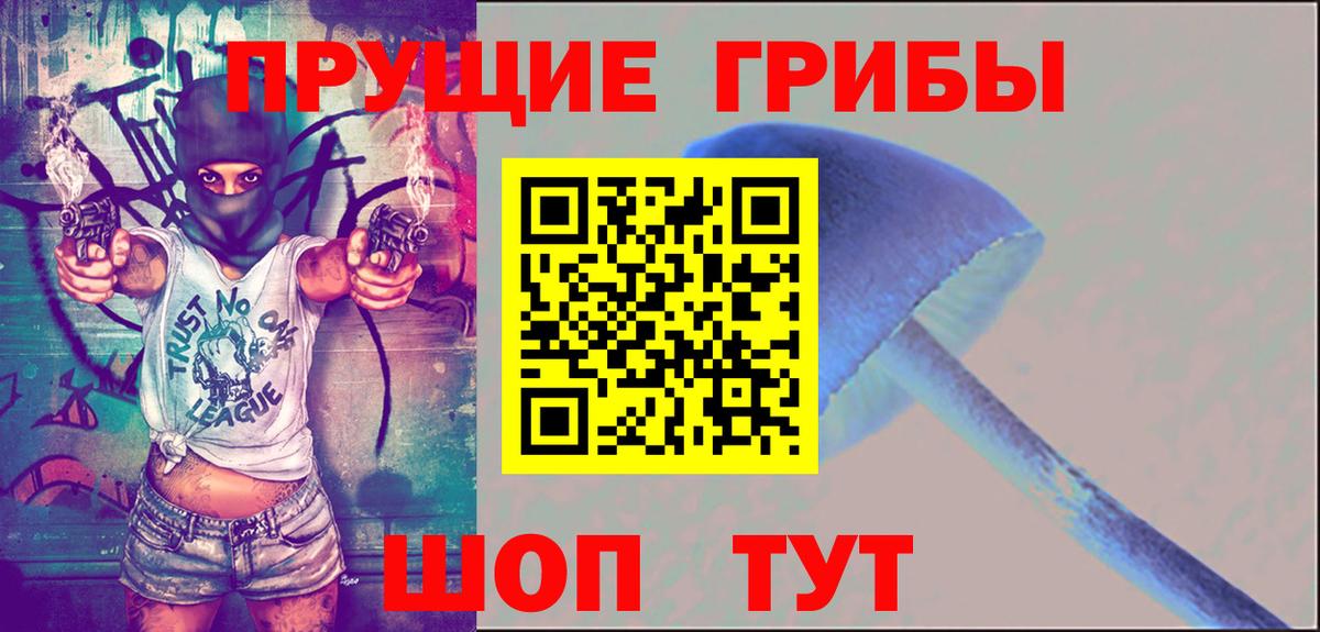 Галлюциногенные грибы прущие грибы  Псилоцибиновые грибы мухоморы  Вход с VPN  хочу   Строитель 