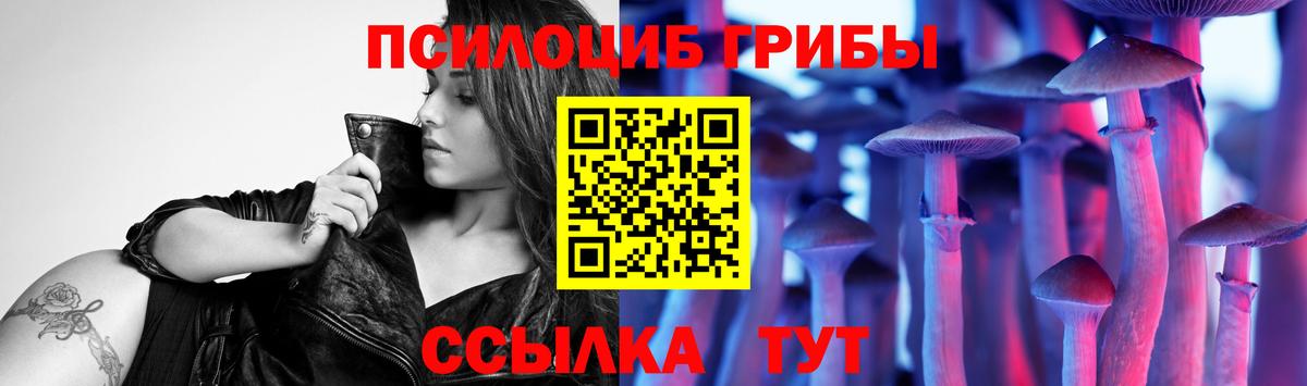Псилоцибиновые грибы прущие грибы Строитель